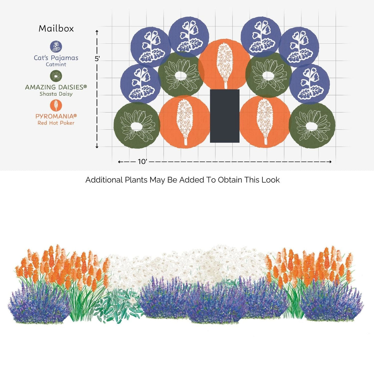 A 10 x 5 mailbox garden bed layout using the EZ Scapes™ Bronco Country Garden Kit, with clusters of purple Cat’s Pajamas Catmint, white Shasta Daisy, and orange Red Hot Poker shown from above and the side - Photo Courtesy of Walters Gardens, Inc.