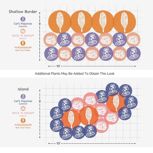 Diagram of two 5x10 garden layouts for a pollinator garden using the EZ Scapes™ Buzz & Blooms #1 Garden Kit, with three heat-tolerant plants in orange, purple, and blue; includes plant names and spacing. The lower layout is more clustered - Photo Courtesy of Walters Gardens, Inc.