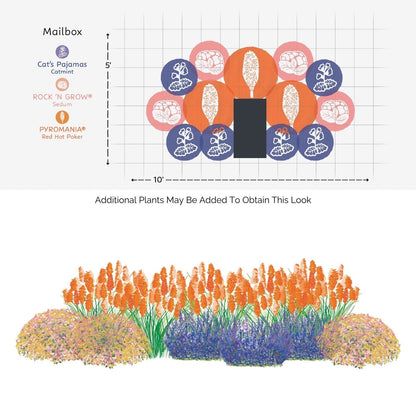 Illustration of the EZ Scapes™ Buzz & Blooms #1 Garden Kit: features a 10x5 mailbox pollinator garden with heat-tolerant Sedum, Red Hot Poker in back, Catmint in front—ideal for easy perennial planting - Photo Courtesy of Walters Gardens, Inc.