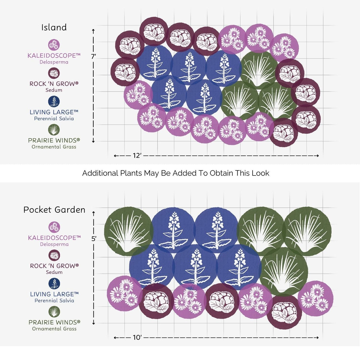 Diagram of planting layouts for the EZ Scapes™ Buzz & Bloom #2 Garden Kit: shallow border is 5 x 7 with 3 plant types in overlapping rows; deep border is 7 x 12 with the same plants in larger overlapping rows. - Photo Courtesy of Walters Gardens, Inc.
