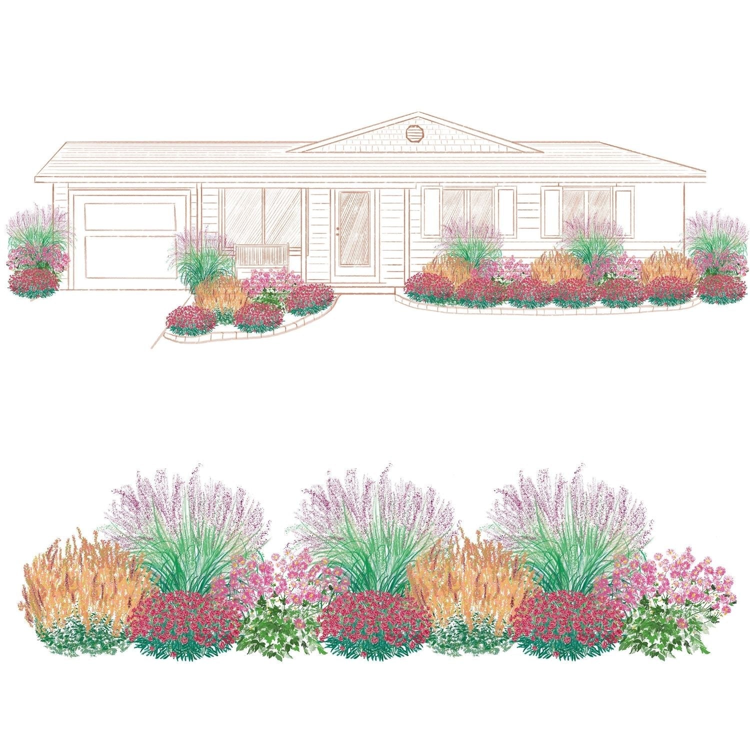 A landscape illustration showcases a single-story house with EZ Scapes™ Carolina Heat Tolerant Garden Kit, featuring vibrant pink, purple, green, and orange flower beds and ornamental grasses in front. A close-up of the planting design is also shown - Photo Courtesy of Walters Gardens, Inc.