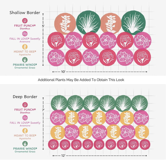 Two garden layout diagrams show the EZ Scapes™ Carolina Heat Tolerant Garden Kit plant arrangements for shallow and deep borders, featuring three flowers in labeled rows with names, colors, and dimensions for each border - Photo Courtesy of Walters Gardens, Inc.