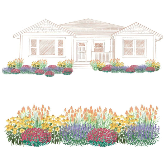 A drawing of a single-story house with a front yard garden planted with the EZ Scapes™ Carolina Pollinator Combo Garden Kit, featuring dense clusters of yellow, orange, red, and purple flowers in landscaped beds - Photo Courtesy of Walters Gardens, Inc.
