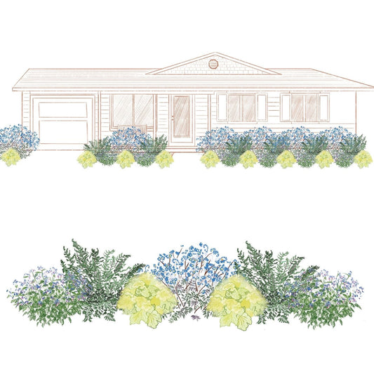 A front elevation of a single-story house with a landscaped shade garden using the EZ Scapes™ Carolina Shade Tolerant Garden Kit, featuring green and blue foliage both in front of the house and as a detailed plant cluster below - Photo Courtesy of Walters Gardens, Inc.