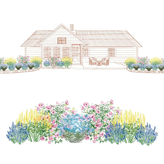 A hand-drawn illustration showcases the EZ Scapes™ Clay Soil Solution #1 Garden Kit, featuring a cozy house with a front porch, outdoor seating, and a vibrant garden of clay-tolerant blooms in pink, blue, yellow, and purple—perfect for clay soil - Photo Courtesy of Walters Gardens, Inc.
