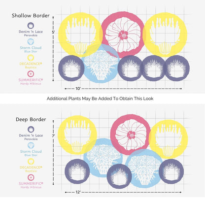 Two garden layout diagrams for EZ Scapes™ Clay Soil Solution #1 Garden Kit show Shallow Border (5x10) and Deep Border (7x12) with yellow, blue, and pink circles representing clay-tolerant plants—ideal for clay soils - Photo Courtesy of Walters Gardens, Inc.