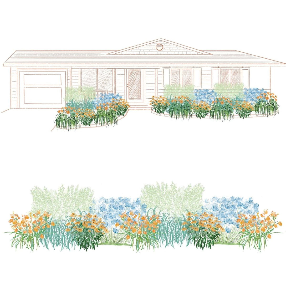 A hand-drawn illustration of a single-story house with a garage, featuring the EZ Scapes™ Clay Soil Solution #2 Garden Kit: vibrant yellow-orange and blue blooms, green shrubs for tough soil. A close-up of the thriving garden appears below - Photo Courtesy of Walters Gardens, Inc.