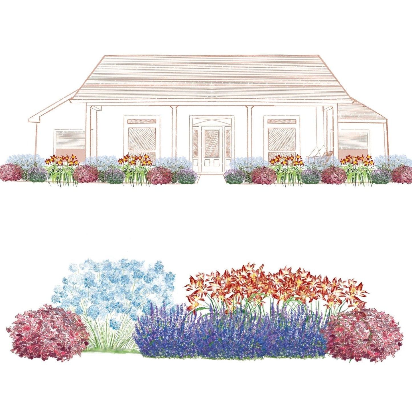 Illustration of a house front with a symmetrical garden bed made using the EZ Scapes™ Color in the Sun #1 Garden Kit, featuring colorful blue, red, and purple foliage and blooms, shown from both frontal and close-up views - Photo Courtesy of Walters Gardens, Inc.