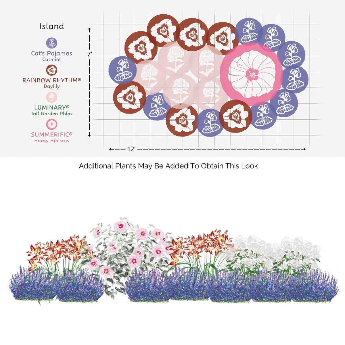 The EZ Scapes™ - Color in the Sun #2 - Garden Kit features a summer flower garden bed with labeled catmint, garden phlox, daylilies, and hardy hibiscus—shown overhead on a grid and in a vibrant side-view flower illustration.
