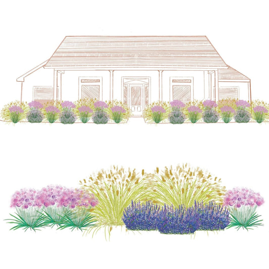 Illustration of a house with a front yard featuring the EZ Scapes™ Deer Resistant Sunscape #1 Garden Kit, with clusters of deer-resistant perennials—ornamental grasses, purple flowers, and low green shrubs—arranged in curved layers - Photo Courtesy of Walters Gardens, Inc.