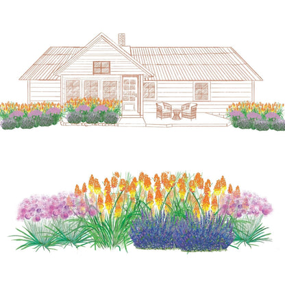 Illustration showing a house with vibrant clusters of orange, purple, and green pollinator plants from the EZ Scapes™ Deer Resistant Sunscape #4 Garden Kit lining the walkway and patio; close-up of the kit’s garden bed below - Photo Courtesy of Walters Gardens, Inc.