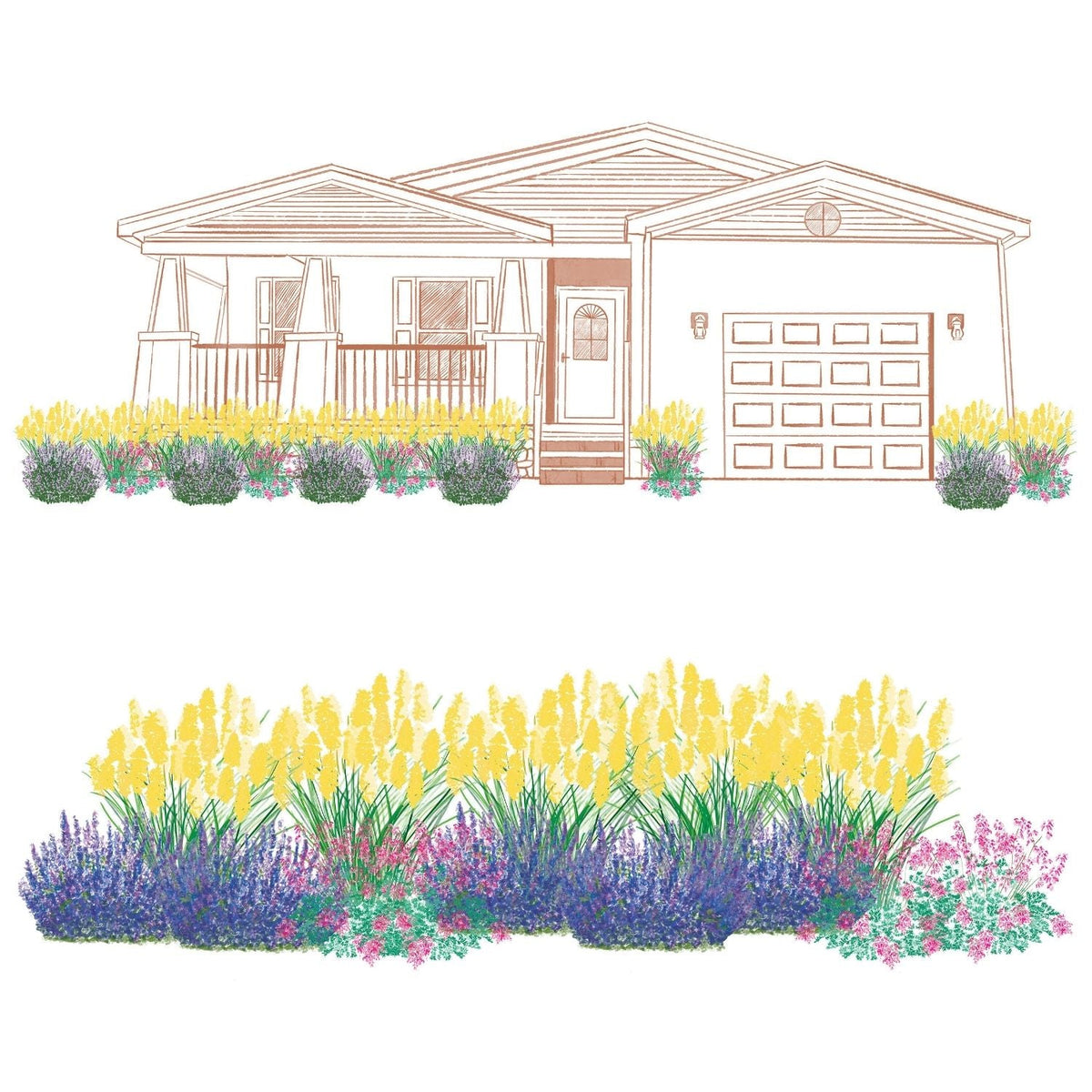 Illustration of a single-story house with a porch and garage, featuring a front yard planted with the EZ Scapes™ Deer Resistant Sunscape #5 Garden Kit: vibrant pollinator-friendly perennials for full sun; below is a close-up of the plant arrangement - Photo Courtesy of Walters Gardens, Inc.