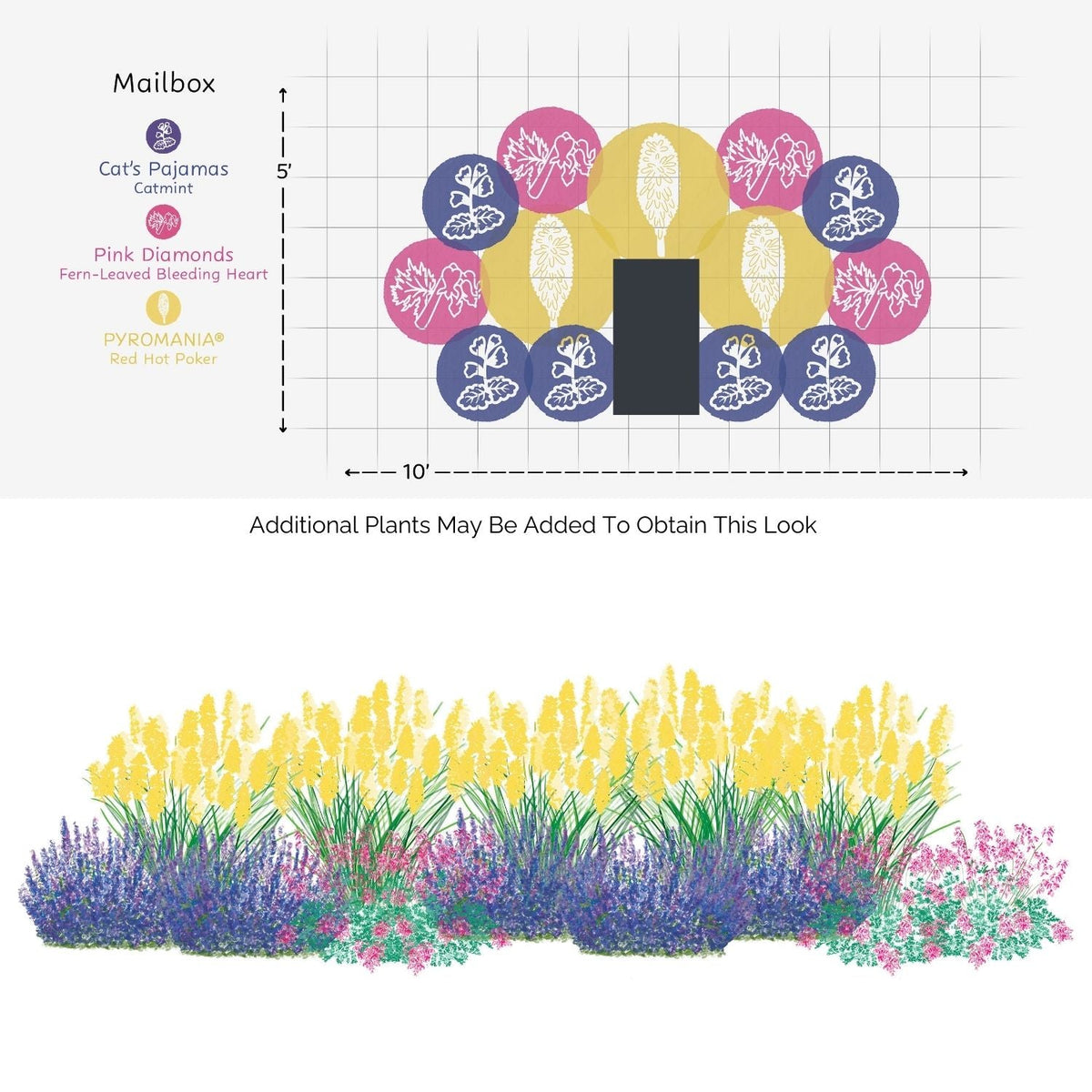 EZ Scapes™ - Deer Resistant Sunscape #5 Garden Kit illustrated plan shows a full-sun, pollinator-friendly mailbox garden with labeled clusters of purple, pink, and yellow perennials—includes top/front views and plant positions.