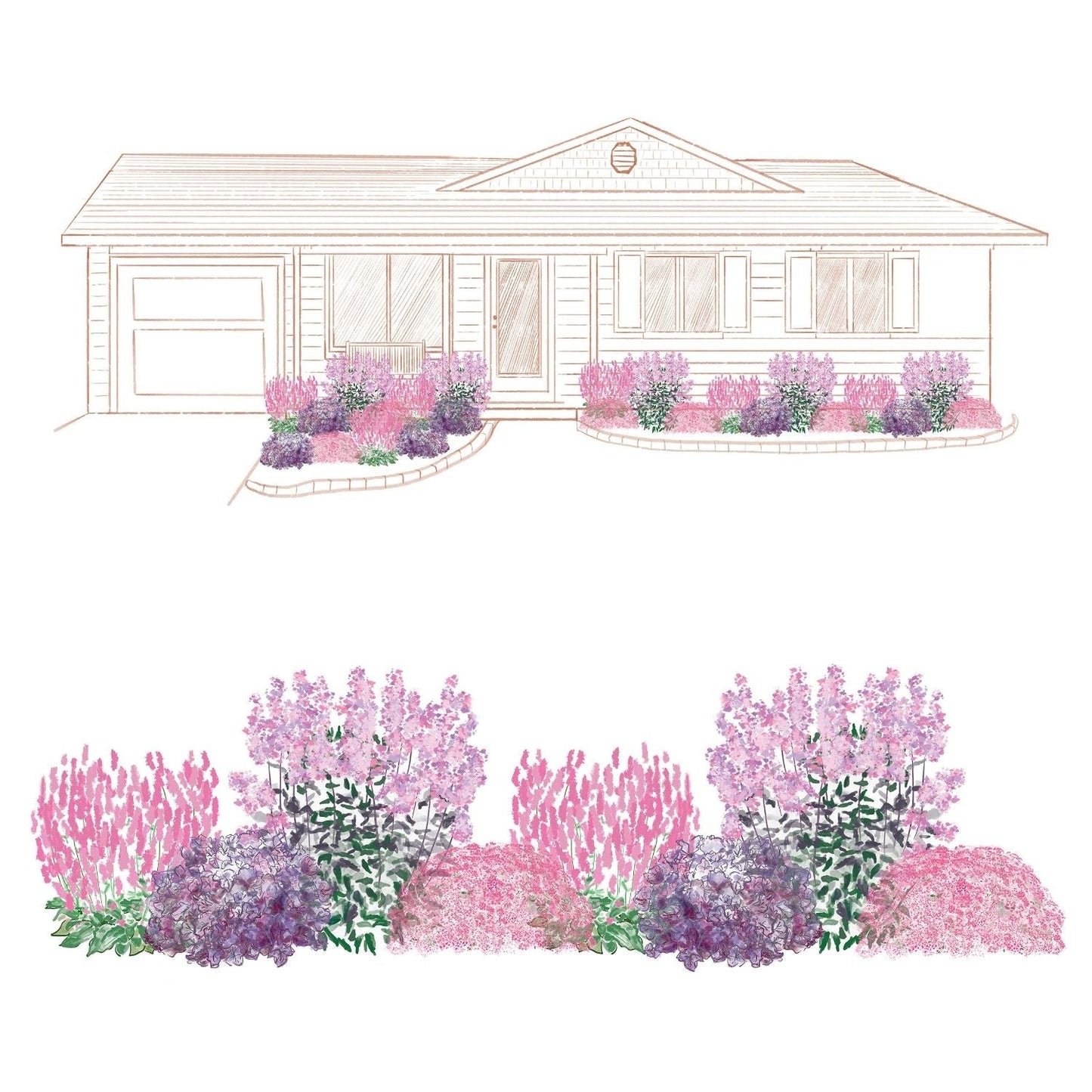 Illustration of a single-story house with pink and purple pollinator flower beds. Below is a close-up of the colorful landscaping, created using the EZ Scapes™ Dry Space Filler #2 Garden Kit - Photo Courtesy of Walters Gardens, Inc.