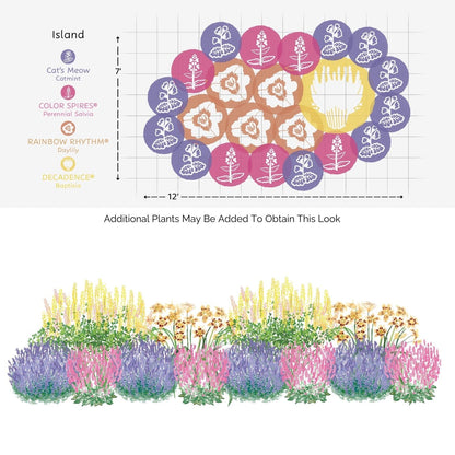 The EZ Scapes™ Dry Space Filler #3 Garden Kit features a garden bed layout with labeled circles in purple, pink, yellow, and blue for drought-tolerant perennials and includes a side-view of blooming flower layers. Expand this pollinator-friendly design easily - Photo Courtesy of Walters Gardens, Inc.
