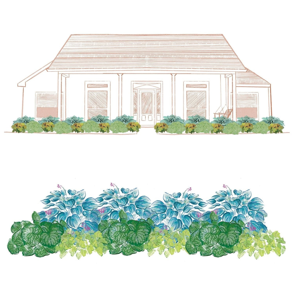 An illustration of a house with a front porch and a garden bed featuring lush blue-green foliage, ideal for the EZ Scapes™ Foliage Friendly Shadescape #1 Garden Kit. A close-up shows the same vibrant leafy plants - Photo Courtesy of Walters Gardens, Inc.