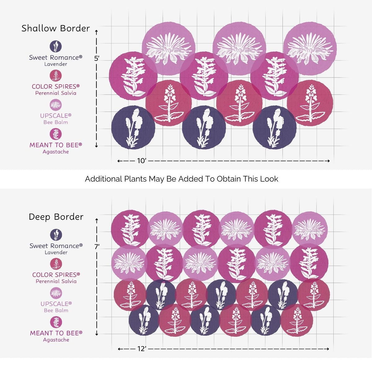Diagram displaying plant layouts for Shallow Border and Deep Border designs using the EZ Scapes™ Garden Fragrance Garden Kit, with each plant indicated by colored circles for easy identification - Photo Courtesy of Walters Gardens, Inc.