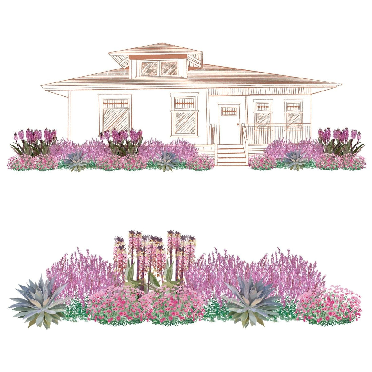 Illustration of a house with a front yard garden filled with pink and purple flowers and agave, featuring heat-tolerant plants from the EZ Scapes™ Heat Tolerant Sunscape Garden Kit, shown in both frontal and close-up views - Photo Courtesy of Walters Gardens, Inc.