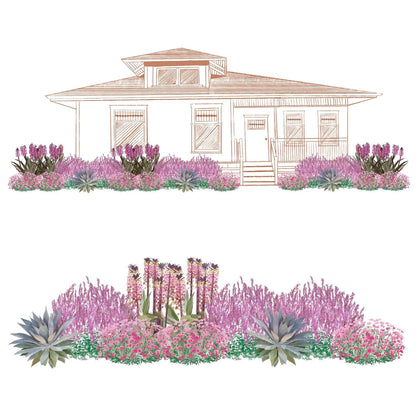 Illustration of a house with a front yard garden filled with pink and purple flowers and agave, featuring heat-tolerant plants from the EZ Scapes™ Heat Tolerant Sunscape Garden Kit, shown in both frontal and close-up views - Photo Courtesy of Walters Gardens, Inc.