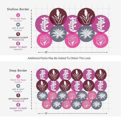 Diagram of two garden border layouts—Shallow Border (10x5) and Deep Border (12x8)—using three heat-tolerant plants in colored circles for dense, layered design. Ideal for the EZ Scapes™ Heat Tolerant Sunscape Garden Kit - Photo Courtesy of Walters Gardens, Inc.