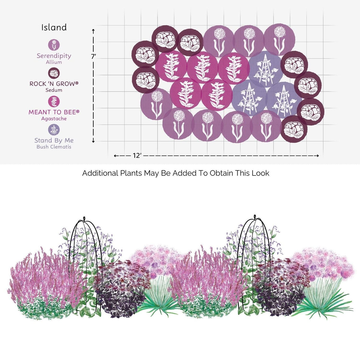Design an oval 12’ x 7’ garden with clusters of allium, sedum, agastache, and clematis for vibrant mid to late-summer color. Tall blooms and supports create a dreamy look inspired by the EZ Scapes™ Late Season Sunscape Garden Kit - Photo Courtesy of Walters Gardens, Inc.