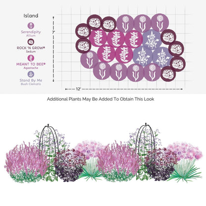 Design an oval 12’ x 7’ garden with clusters of allium, sedum, agastache, and clematis for vibrant mid to late-summer color. Tall blooms and supports create a dreamy look inspired by the EZ Scapes™ Late Season Sunscape Garden Kit - Photo Courtesy of Walters Gardens, Inc.