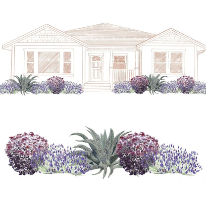 A front yard landscape design features the EZ Scapes™ Low Water Needs Garden Kit, displaying clusters of purple and lavender flowers, ornamental grasses, and green agave near the porch and windows - Photo Courtesy of Walters Gardens, Inc.