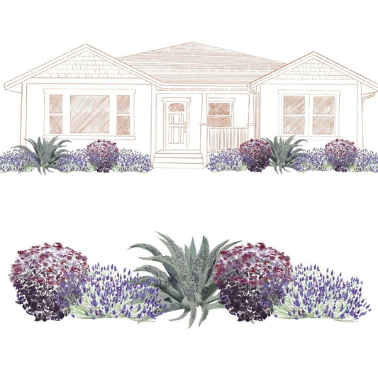 A front yard landscape design features the EZ Scapes™ Low Water Needs Garden Kit, displaying clusters of purple and lavender flowers, ornamental grasses, and green agave near the porch and windows - Photo Courtesy of Walters Gardens, Inc.