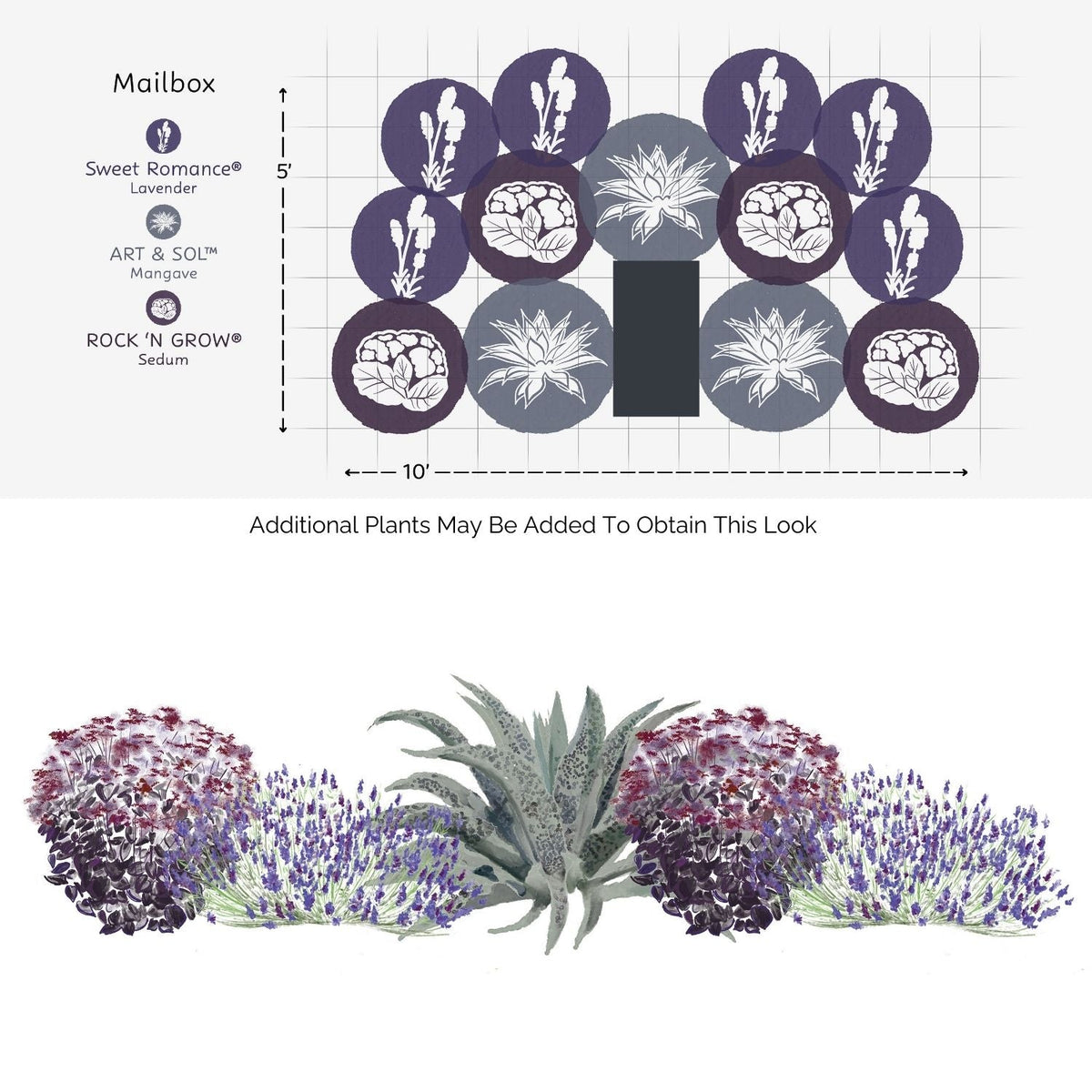 The EZ Scapes™ Low Water Needs Garden Kit shows a semicircular mailbox garden with lavender, mangave, and sedum. Both a planting plan and a visual rendering of the plants in bloom are included - Photo Courtesy of Walters Gardens, Inc.