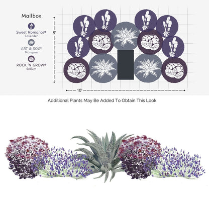The EZ Scapes™ Low Water Needs Garden Kit shows a semicircular mailbox garden with lavender, mangave, and sedum. Both a planting plan and a visual rendering of the plants in bloom are included - Photo Courtesy of Walters Gardens, Inc.