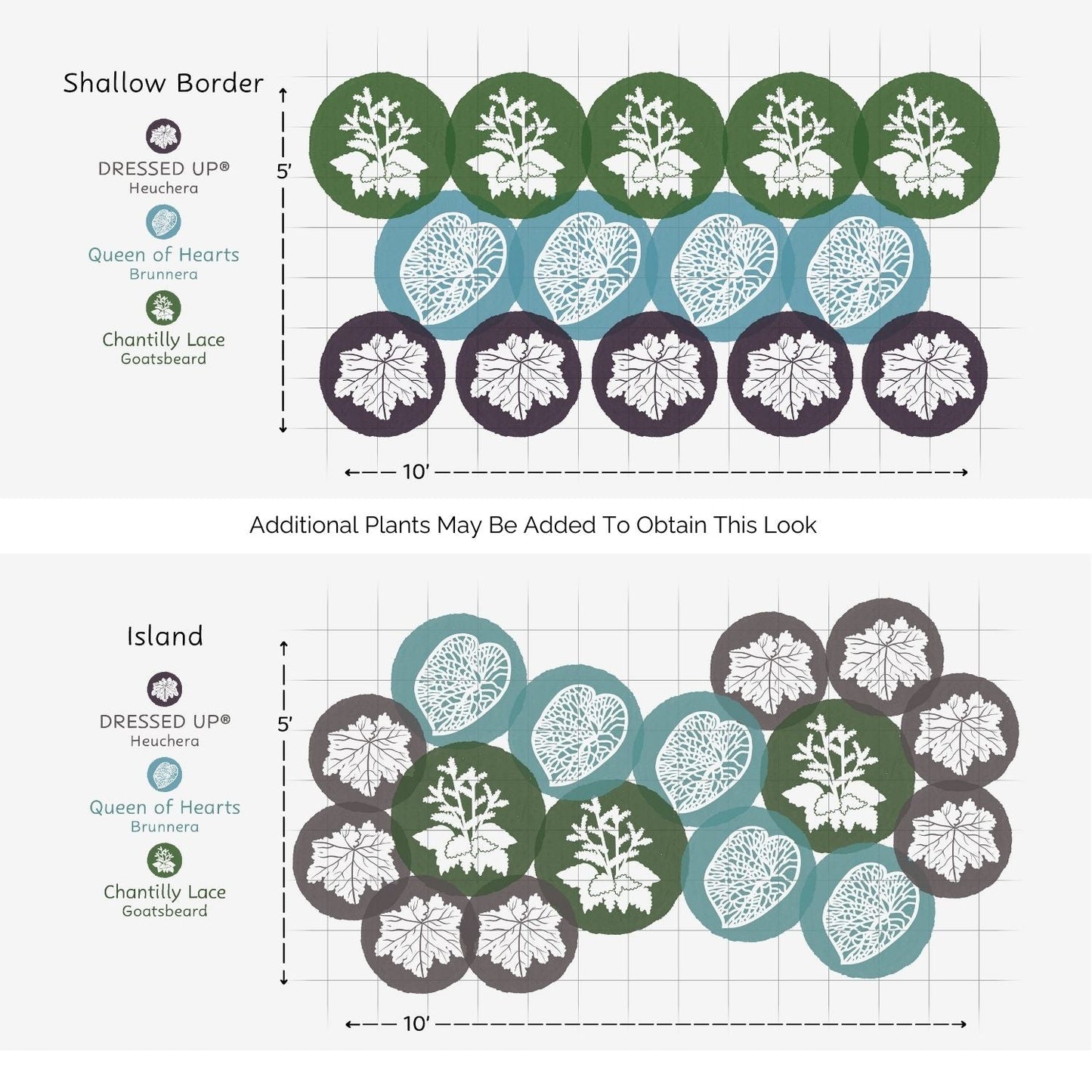 Diagram showing two garden layouts: a Shallow Border with Heuchera, Brunnera, and Goatsbeard in a 10x5 area, and an Island with a circular mix—perfect inspiration for the EZ Scapes™ Made for the Shade #2 Garden Kit. - Photo Courtesy of Walters Gardens, Inc.