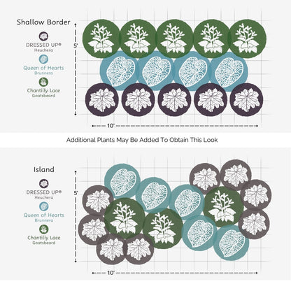 Diagram showing two garden layouts: a Shallow Border with Heuchera, Brunnera, and Goatsbeard in a 10x5 area, and an Island with a circular mix—perfect inspiration for the EZ Scapes™ Made for the Shade #2 Garden Kit. - Photo Courtesy of Walters Gardens, Inc.
