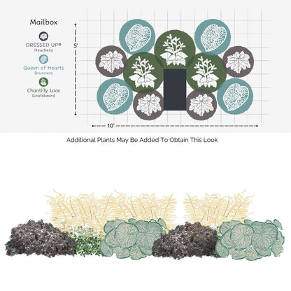The EZ Scapes™ Made for the Shade #2 Garden Kit offers a 10' x 5' bed design featuring heuchera, brunnera, and goatsbeard clusters for classic shade appeal—ideal for planting in front of a mailbox. - Photo Courtesy of Walters Gardens, Inc.