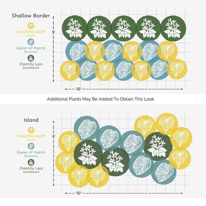 EZ Scapes™ Made for the Shade #3 Garden Kit offers two 10 x 5 garden layouts: Shallow Border arranges green, blue, and yellow circles in rows; Island mixes them for vibrant foliage. Icons and labels identify various plant types. - Photo Courtesy of Walters Gardens, Inc.