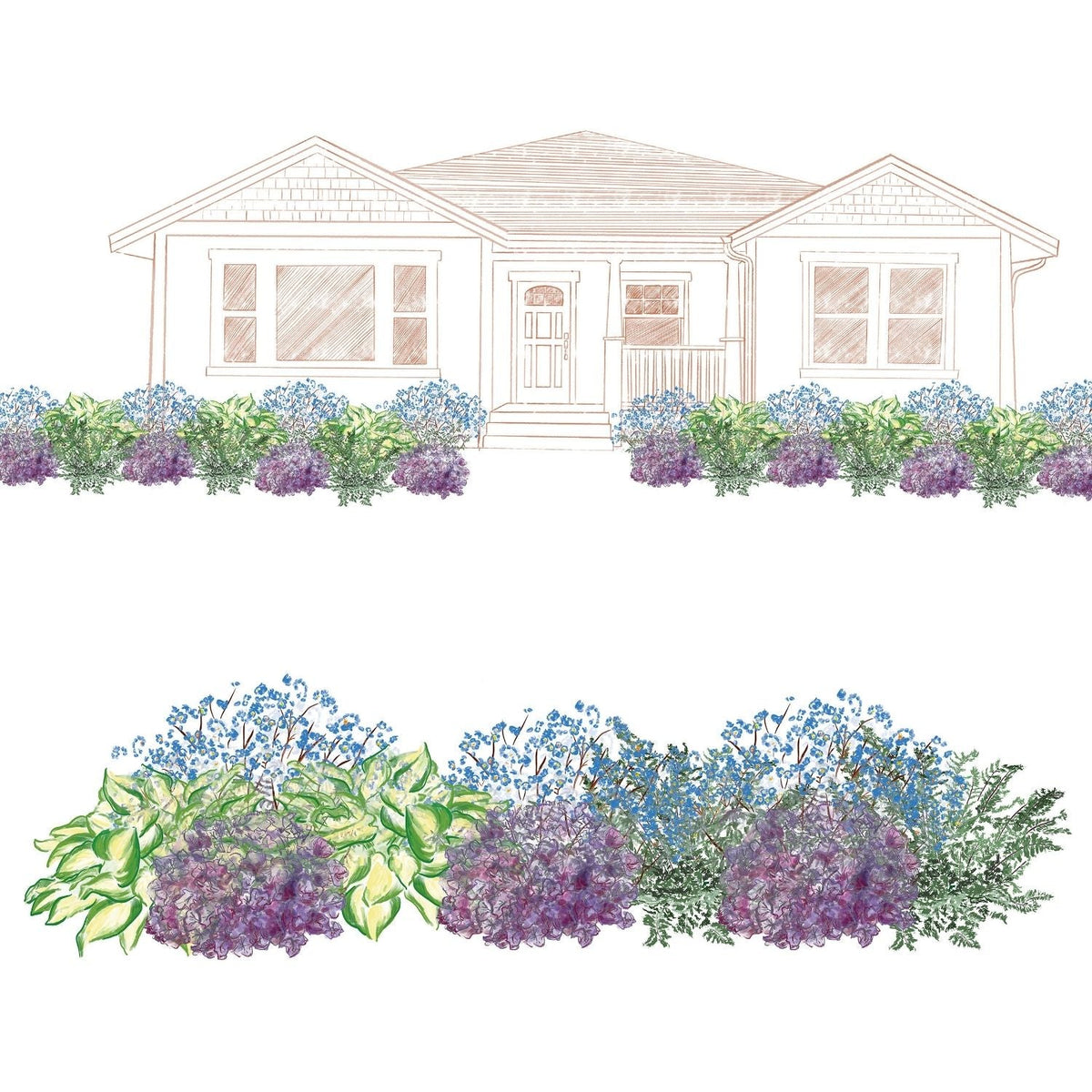 Illustration of a single-story house with a border of lush green and purple plants from the EZ Scapes™ Made for the Shade #4 Garden Kit, shown in two views: one with house and kit plants, and another close-up of the plant arrangement. - Photo Courtesy of Walters Gardens, Inc.