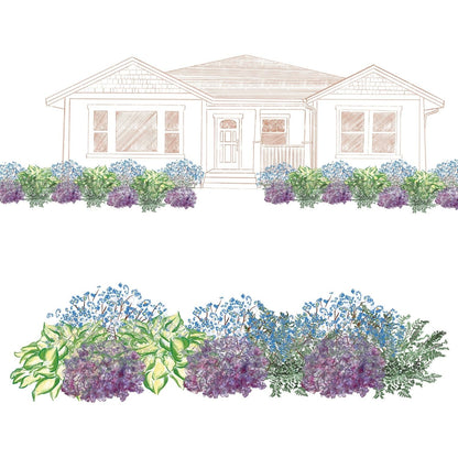 Illustration of a single-story house with a border of lush green and purple plants from the EZ Scapes™ Made for the Shade #4 Garden Kit, shown in two views: one with house and kit plants, and another close-up of the plant arrangement. - Photo Courtesy of Walters Gardens, Inc.