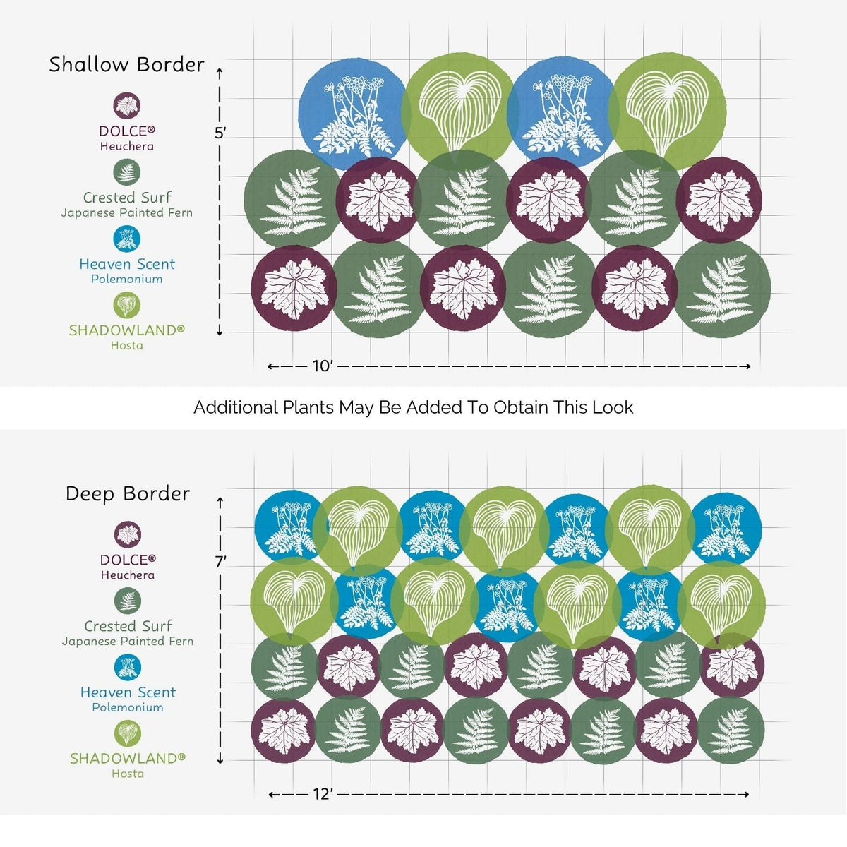 Diagram showing plant arrangements for two garden border designs—Shallow (5x10) and Deep (7x12)—using the EZ Scapes™ Made for the Shade #4 Garden Kit, featuring circular groupings of Heuchera, Japanese Painted Fern, Polemonium, and Hosta. - Photo Courtesy of Walters Gardens, Inc.