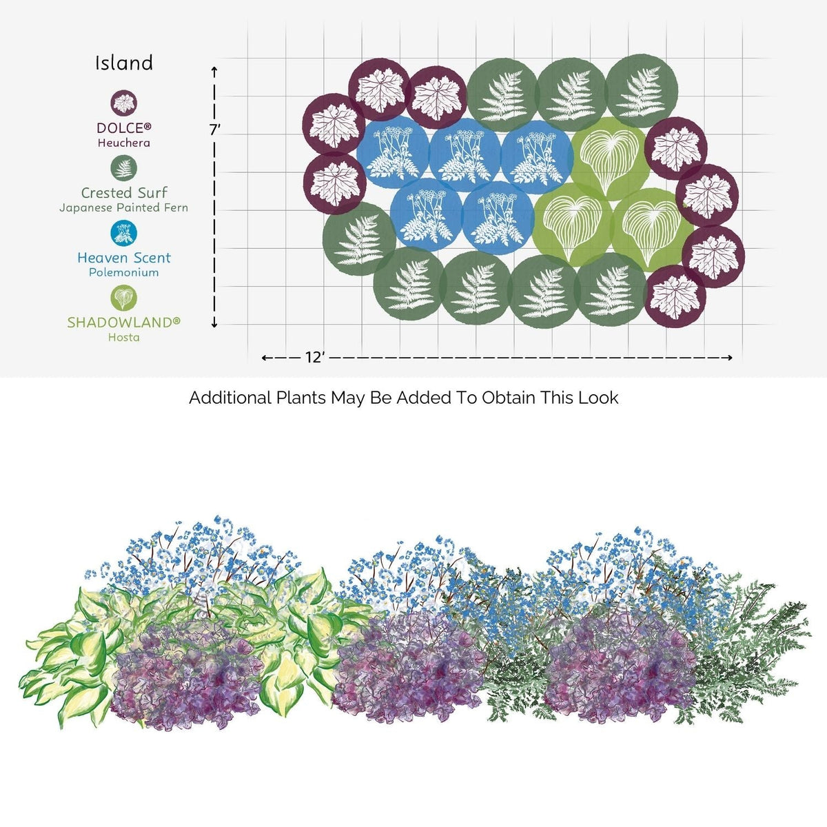 A garden layout diagram for the EZ Scapes™ Made for the Shade #4 Garden Kit shows Heuchera, Japanese Painted Fern, Polemonium, and Hosta grouped in a 12x7 ft bed, with an illustration of the mature garden below. - Photo Courtesy of Walters Gardens, Inc.