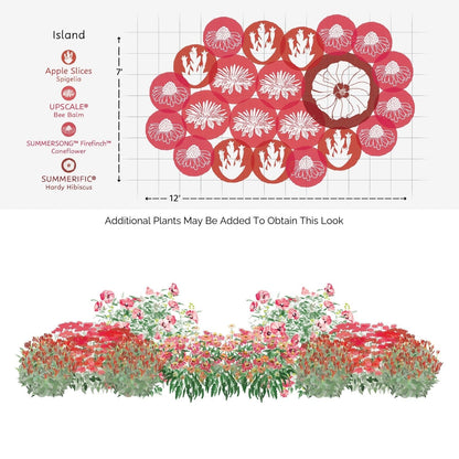 The EZ Scapes™ Native Roots in the Mid-Atlantic Garden Kit includes a labeled layout with circular zones for Spigelia, Bee Balm, Coneflower, and Hibiscus, shown from top and front views with size details and suggestions for adding more plants. - Photo Courtesy of Walters Gardens, Inc.