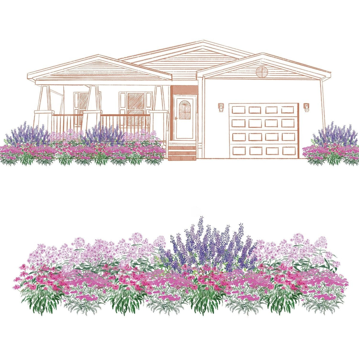Illustration of a house with a front yard garden featuring pink and purple flowers - Photo Courtesy of Walters Gardens, Inc.