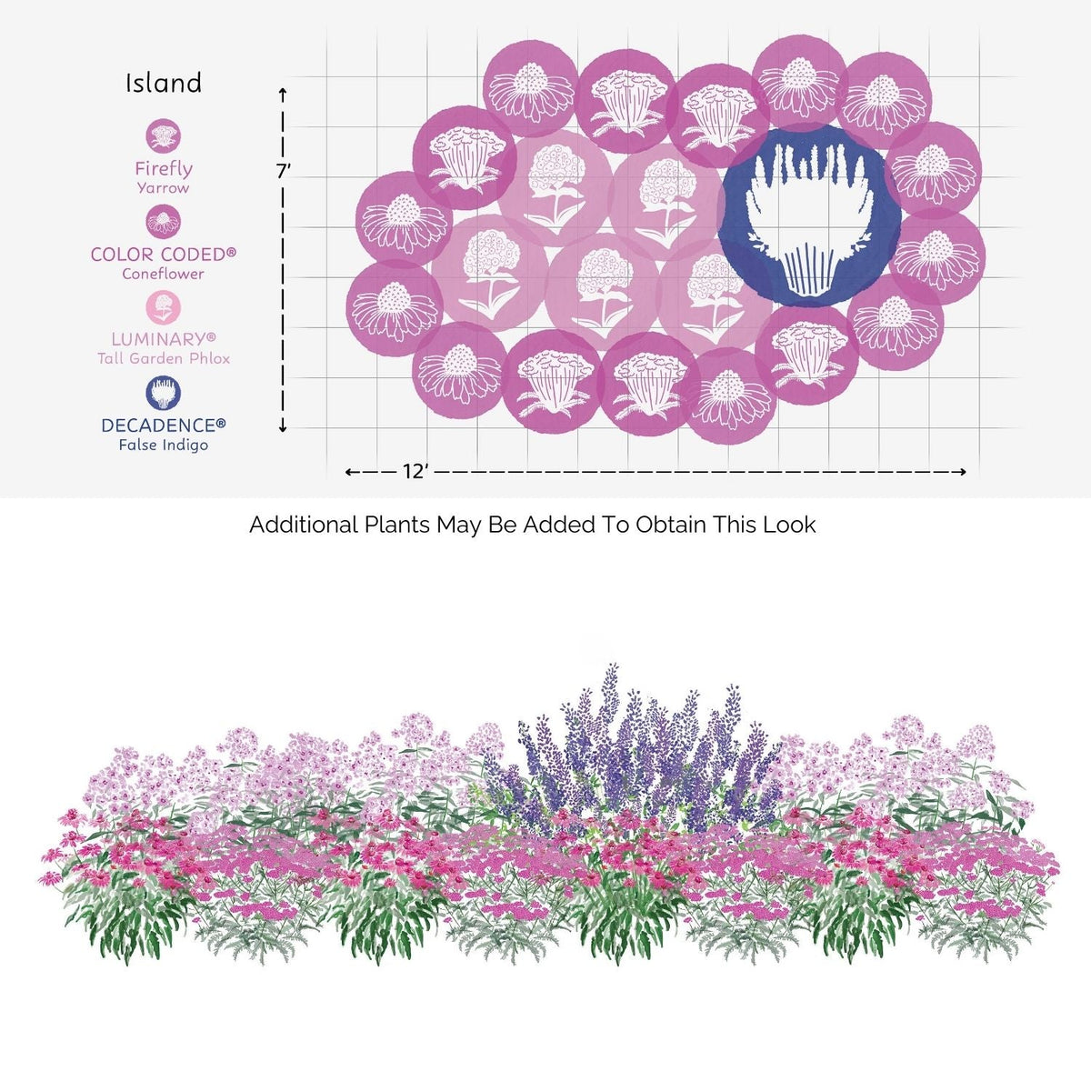 Design of a floral island with color-coded plants and measurements on a grid background - Photo Courtesy of Walters Gardens, Inc.