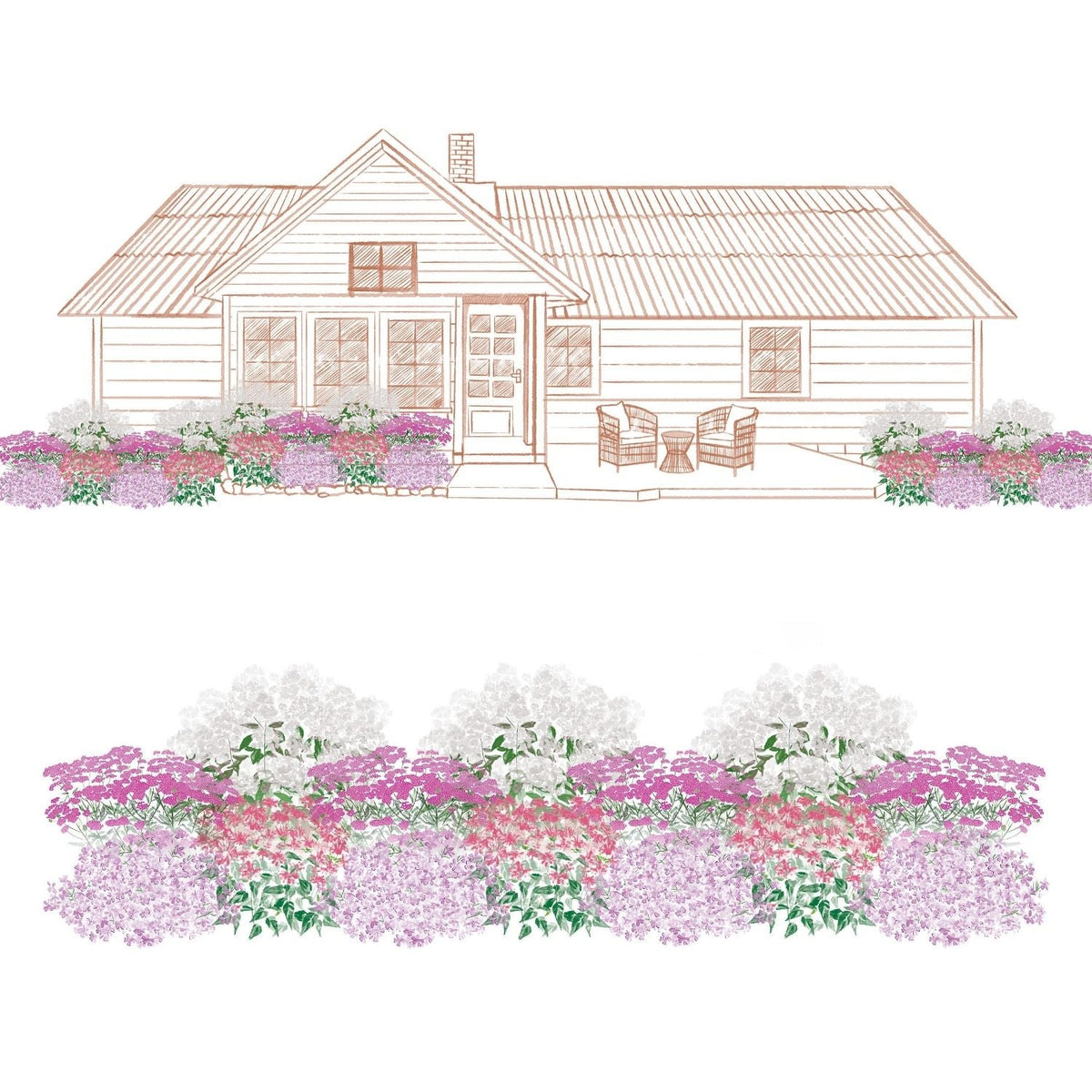 Illustration of a house with a front porch and chairs, featuring the EZ Scapes™ Native Roots in the Northeast Garden Kit’s clusters of pink, purple, and white blooms in the garden bed. Below is a close-up of the vibrant EZ Scapes™ flower display. - Photo Courtesy of Walters Gardens, Inc.