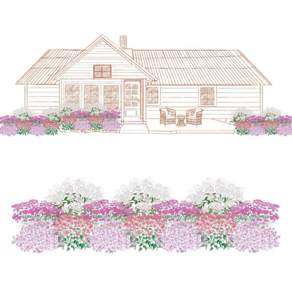 Illustration of a house with a front porch and chairs, featuring the EZ Scapes™ Native Roots in the Northeast Garden Kit’s clusters of pink, purple, and white blooms in the garden bed. Below is a close-up of the vibrant EZ Scapes™ flower display. - Photo Courtesy of Walters Gardens, Inc.