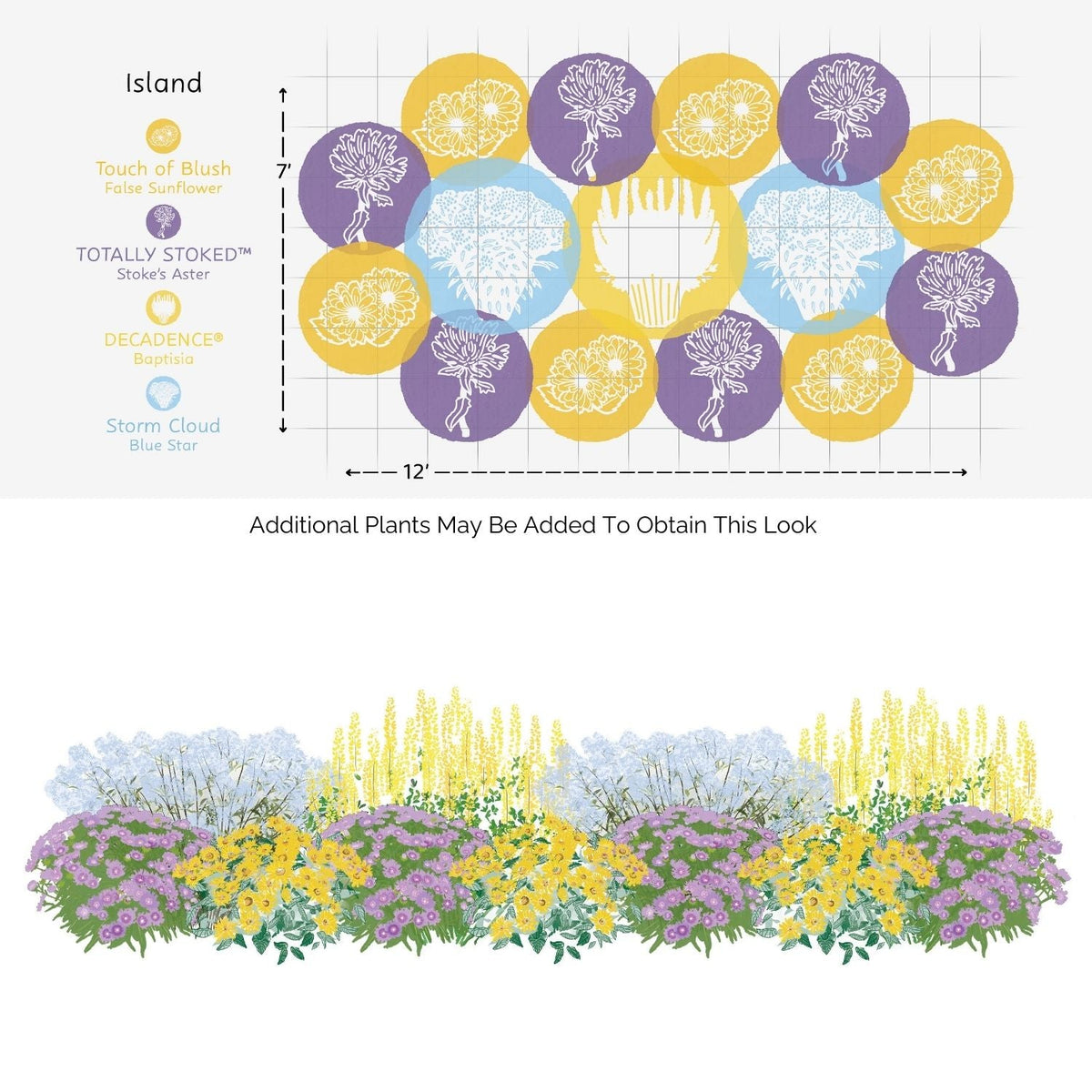 Diagram of the EZ Scapes™ Native Roots in the Southeast Garden Kit, showing a garden bed labeled Island with clusters of yellow, purple, and blue blooms, plus a front view illustrating the plants’ vibrant, layered arrangement. - Photo Courtesy of Walters Gardens, Inc.