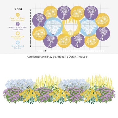 Diagram of the EZ Scapes™ Native Roots in the Southeast Garden Kit, showing a garden bed labeled Island with clusters of yellow, purple, and blue blooms, plus a front view illustrating the plants’ vibrant, layered arrangement. - Photo Courtesy of Walters Gardens, Inc.