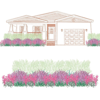 Illustration of a one-story house with a porch and garage, surrounded by EZ Scapes™ Native Roots in the Southwest Garden Kit—lush clusters of pink, purple, and green native plants in front and along a separate garden border. - Photo Courtesy of Walters Gardens, Inc.