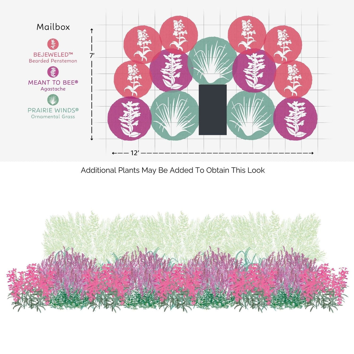 Illustration of the EZ Scapes™ Native Roots in the Southwest Garden Kit, featuring a top view with three plant types in colored circles and a front view displaying layered lavender, pink, and green foliage forming a lush garden bed. - Photo Courtesy of Walters Gardens, Inc.