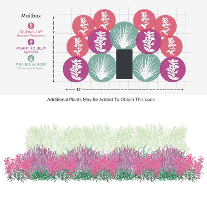 Illustration of the EZ Scapes™ Native Roots in the Southwest Garden Kit, featuring a top view with three plant types in colored circles and a front view displaying layered lavender, pink, and green foliage forming a lush garden bed. - Photo Courtesy of Walters Gardens, Inc.