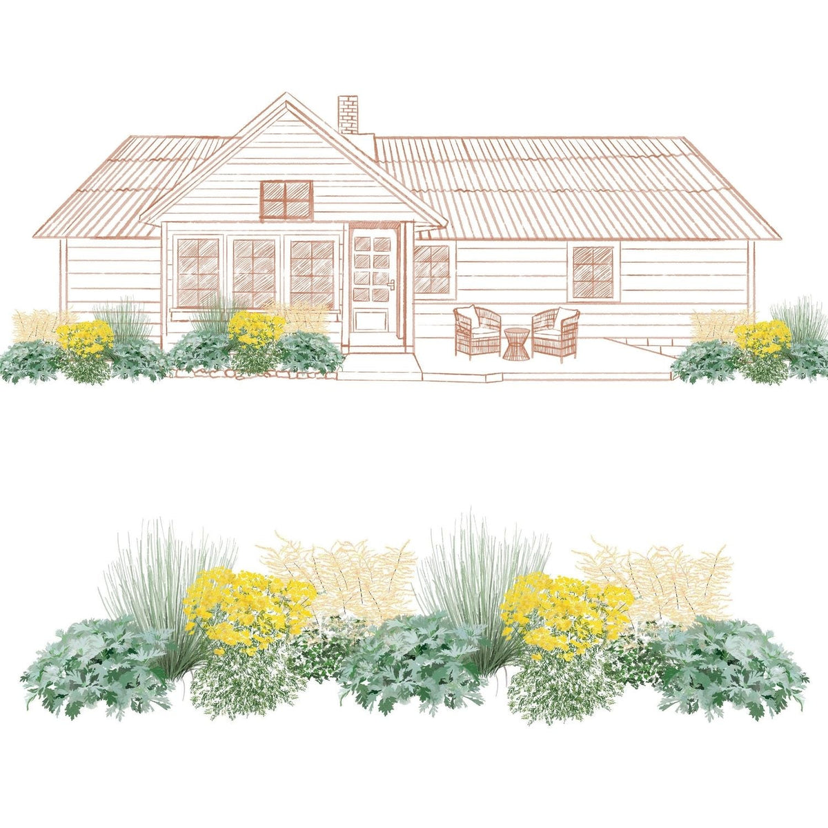 Illustration of a single-story house with a front porch and two chairs, with landscaped garden beds in front featuring the EZ Scapes™ Native Roots on the West Coast Garden Kit’s green grasses, leafy plants, and clusters of yellow flowers. - Photo Courtesy of Walters Gardens, Inc.
