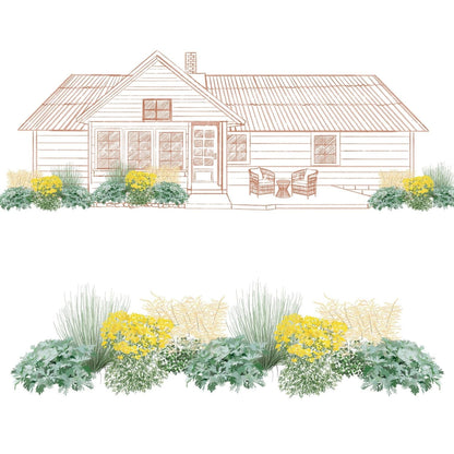 Illustration of a single-story house with a front porch and two chairs, with landscaped garden beds in front featuring the EZ Scapes™ Native Roots on the West Coast Garden Kit’s green grasses, leafy plants, and clusters of yellow flowers. - Photo Courtesy of Walters Gardens, Inc.